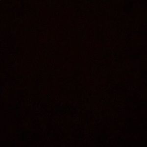 Meet your Posher, Hector